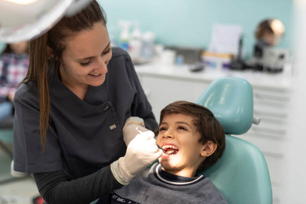 Best Emergency Dentist for Knocked-Out Tooth in Caseyvle, IL